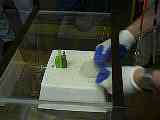 100_0164.MOV