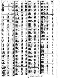 index5.jpg